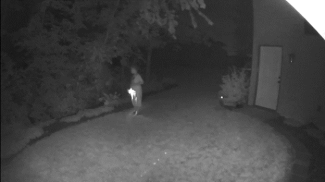 Person captured at night in a yard on the Arlo Go 2 cam.